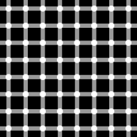 optical illusion 11