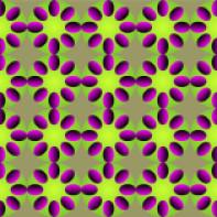 optical illusion 5