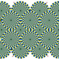 optical illusion 7