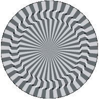 optical illusion 15