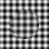 optical illusion 9
